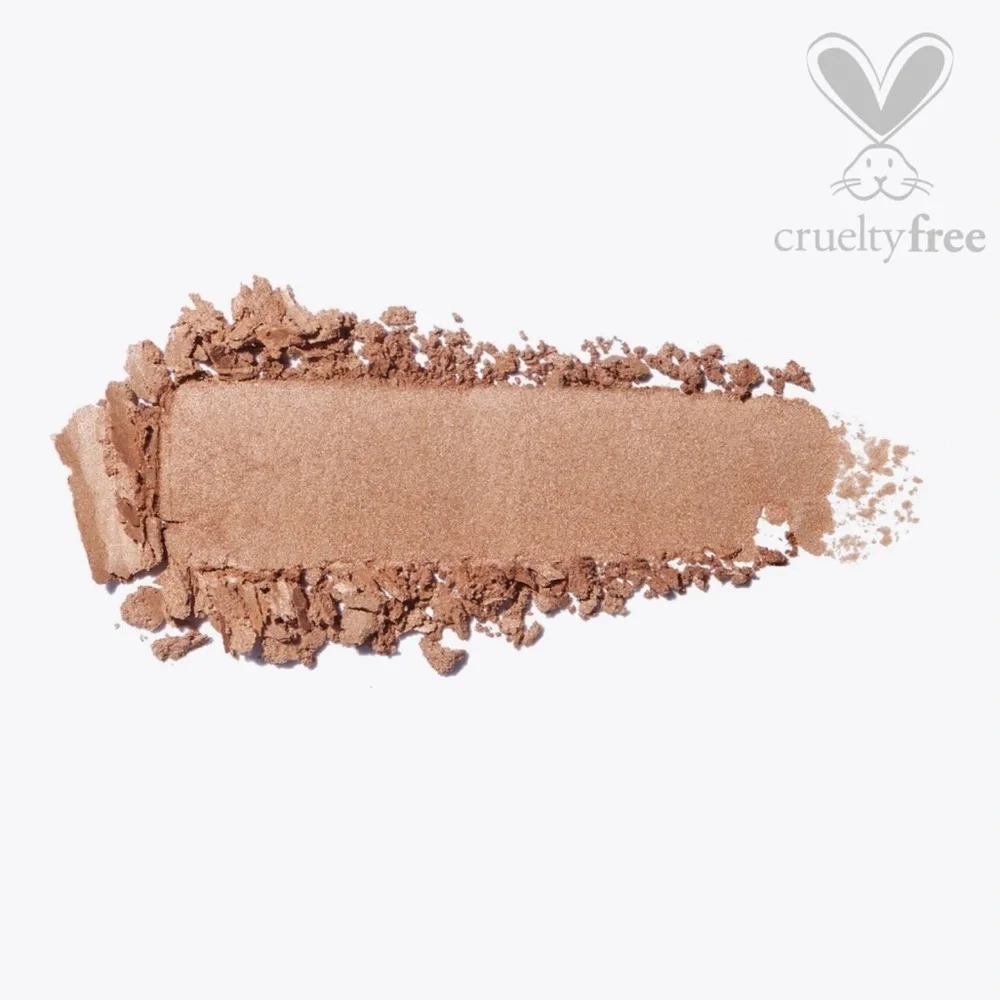 🌺 ICONIC LONDON BLAZE CHASER FACE PALETTE